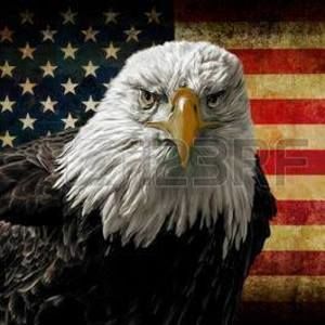 Meet your Posher, Pat